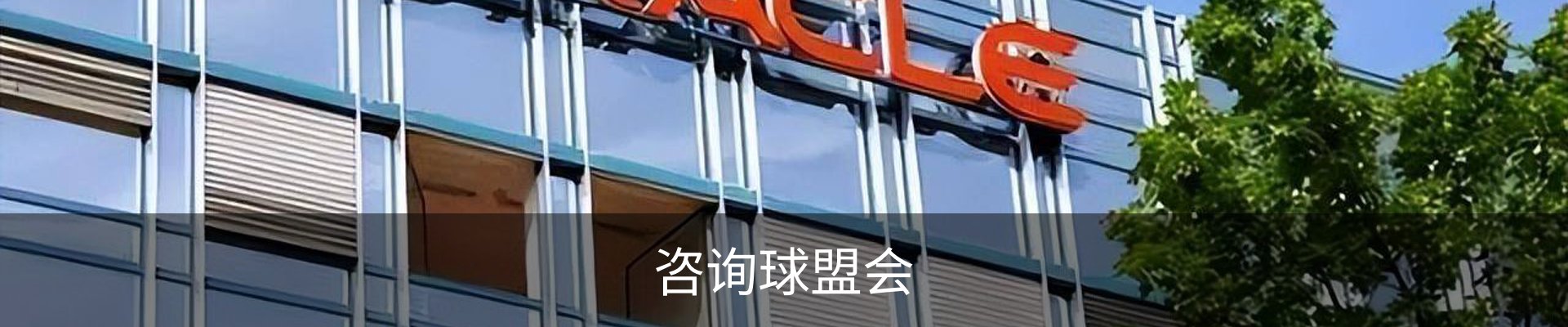咨询球盟会