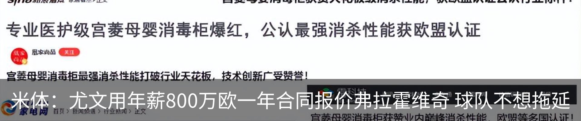 新闻动态